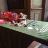 Presentazione guida slow fashion 2016